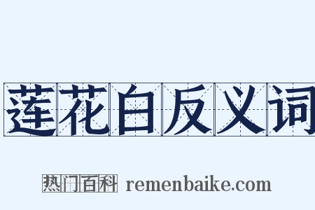 莲花白反义词是什么意思的图片